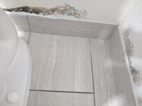 Mold in bathroom. Plumbing and fixtures were rusted