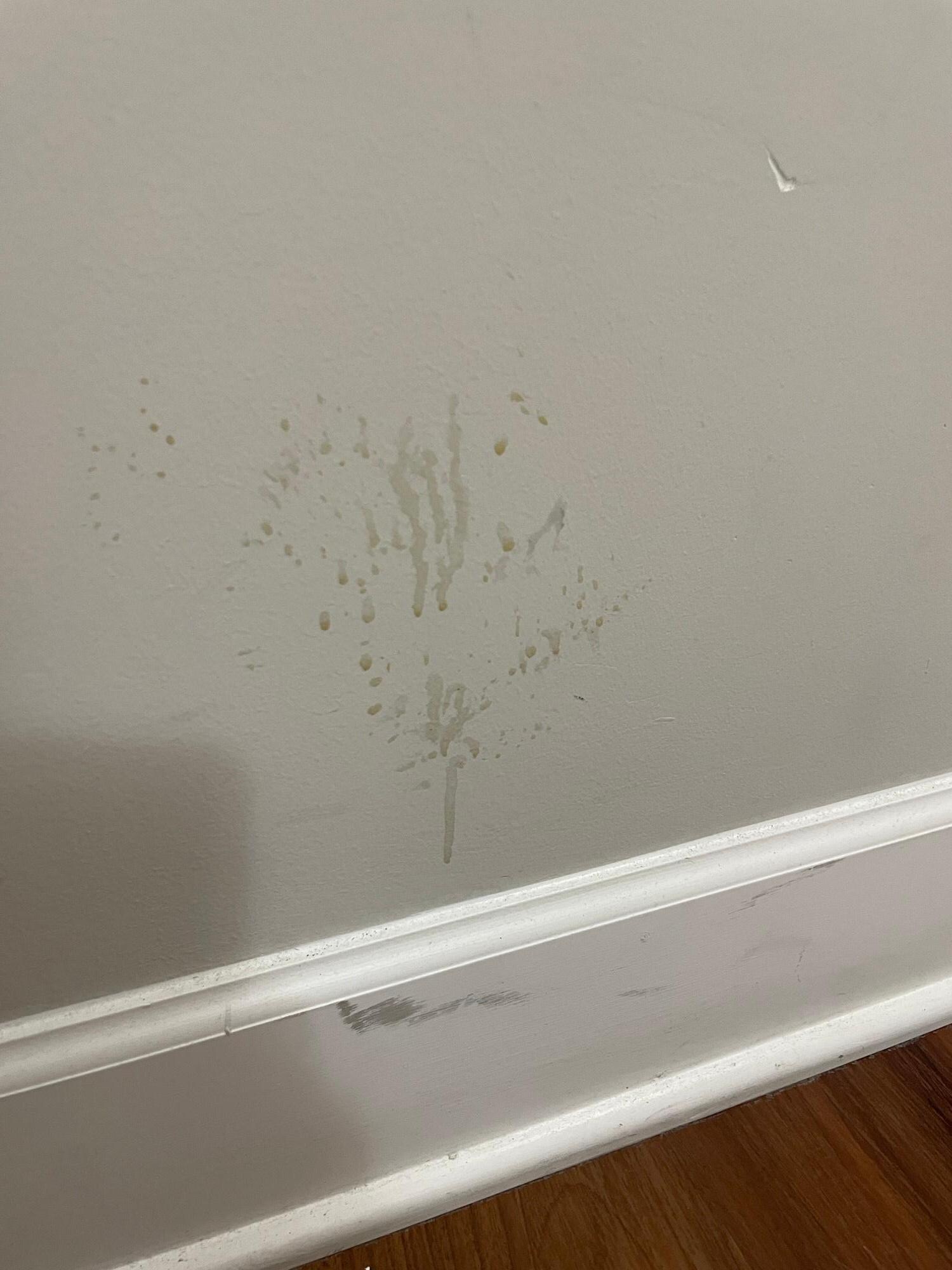 Another wall with unknown stains.