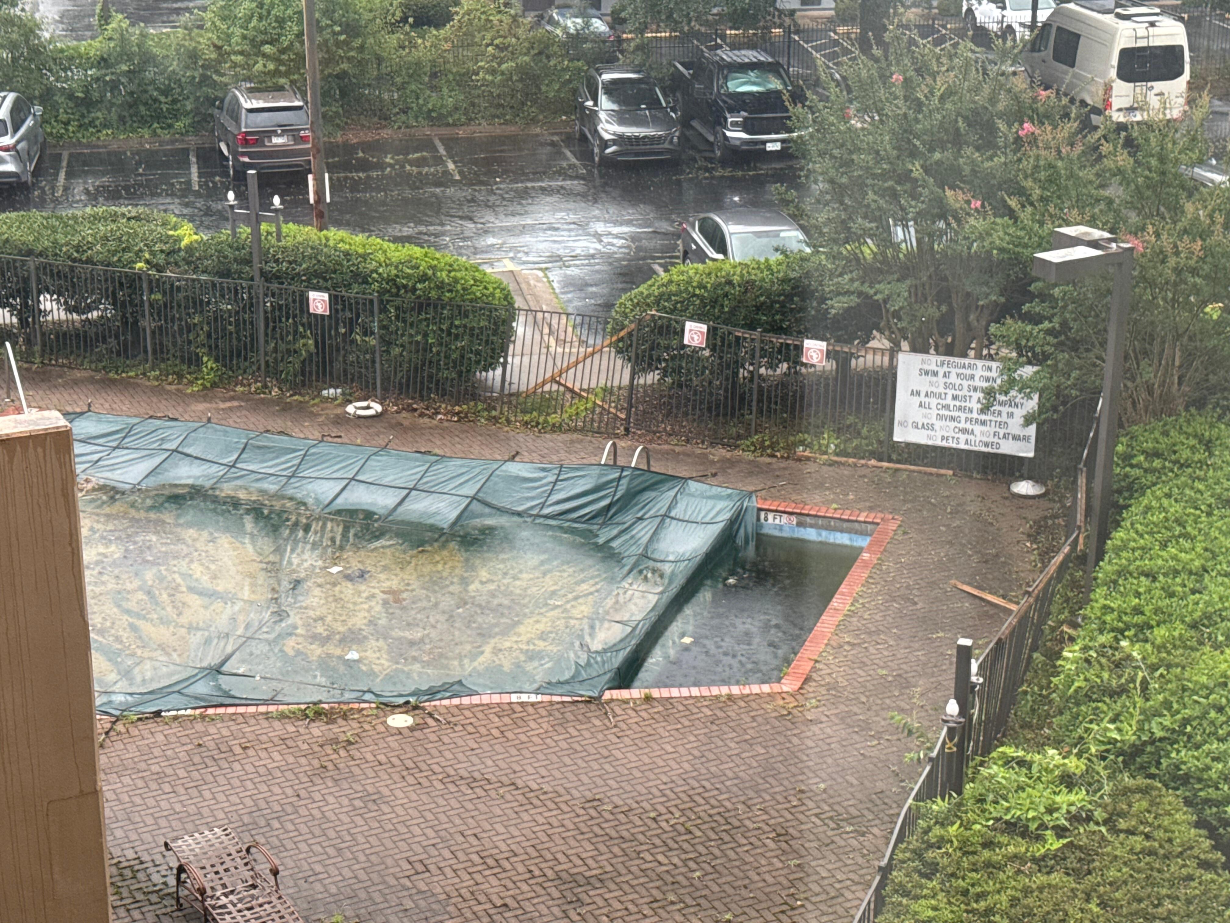 The pool