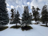 View from primary bedroom