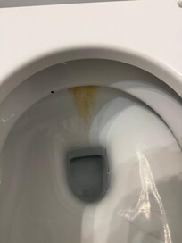 How we found toilet