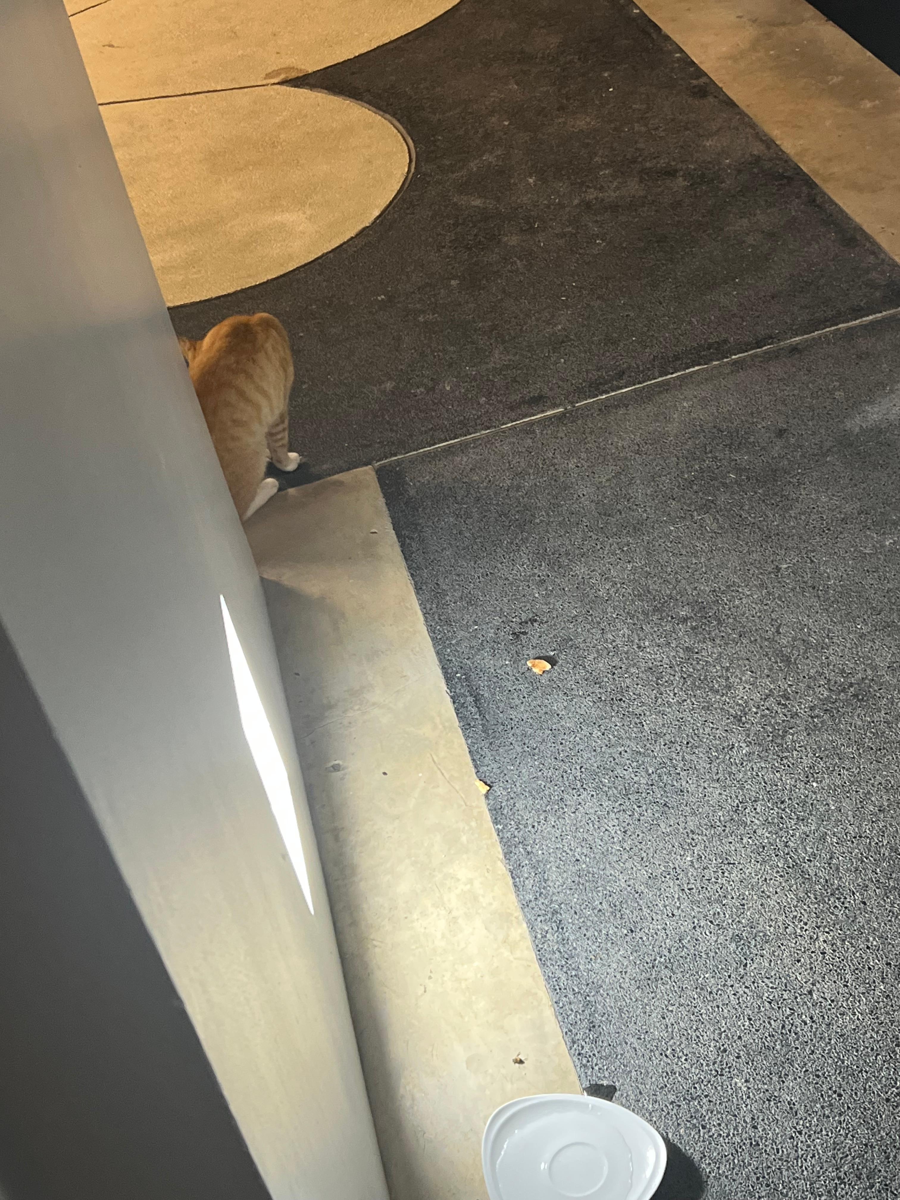 Food & animals around property.