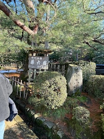 兼六園。21世紀美術館が近くにあり、一緒に回れます。