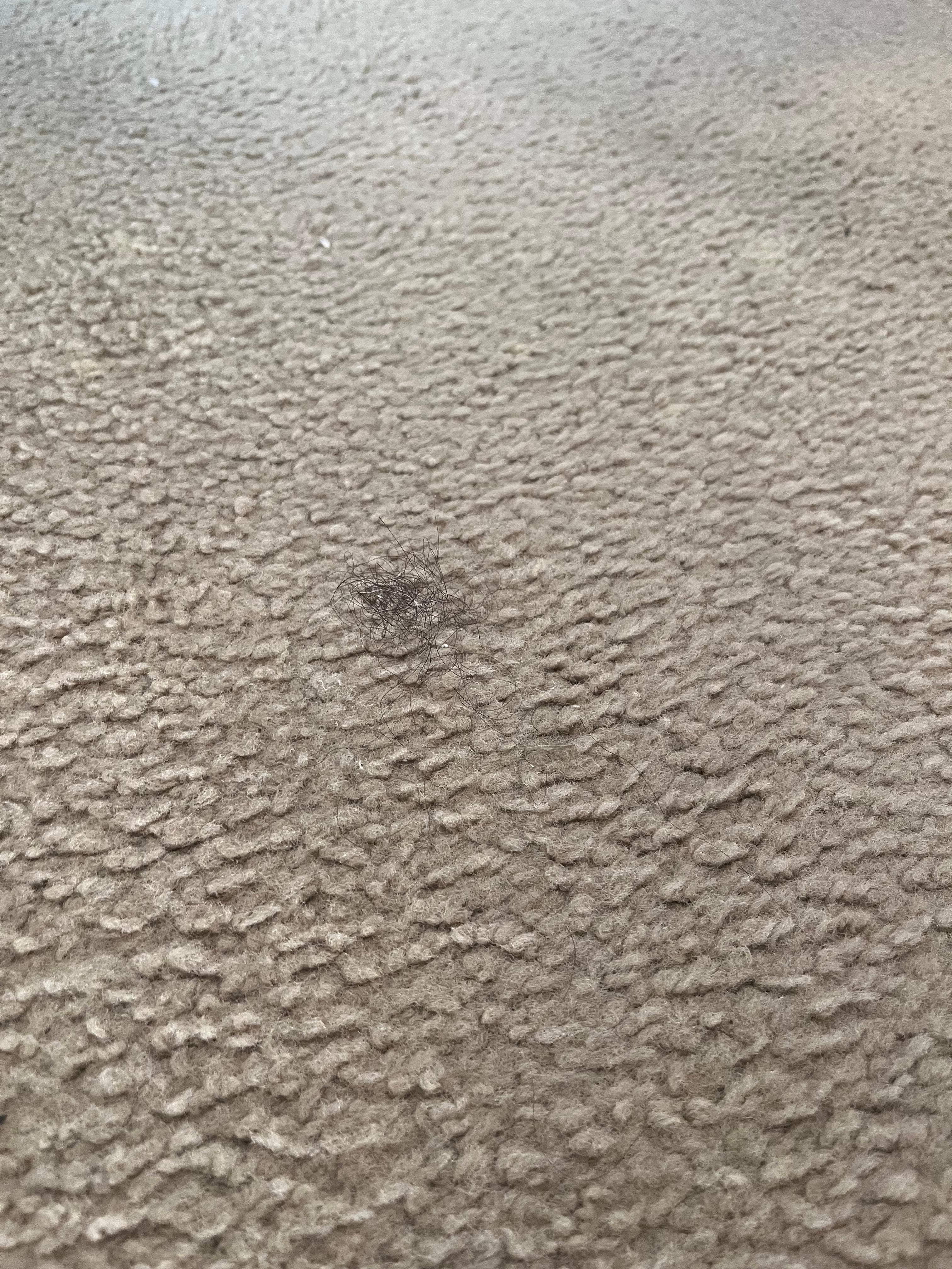 Carpets were absolutely repulsive and need to be replaced