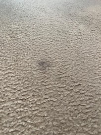 Carpets were absolutely repulsive and need to be replaced