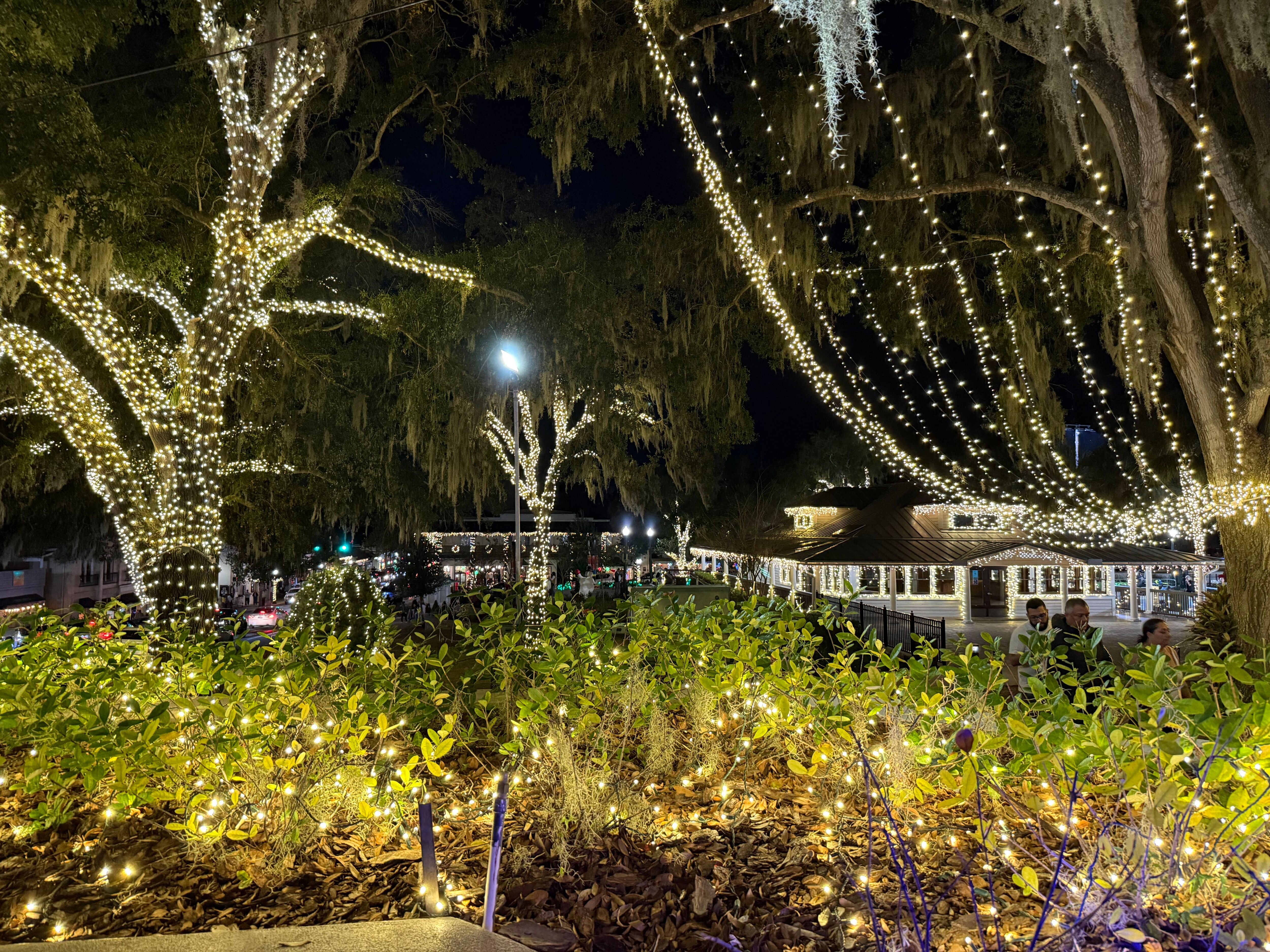 Bright lights on Donnelly Park