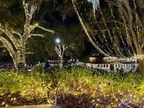 Bright lights on Donnelly Park