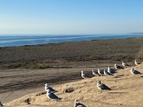 Near many vista views