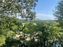 View from back deck.