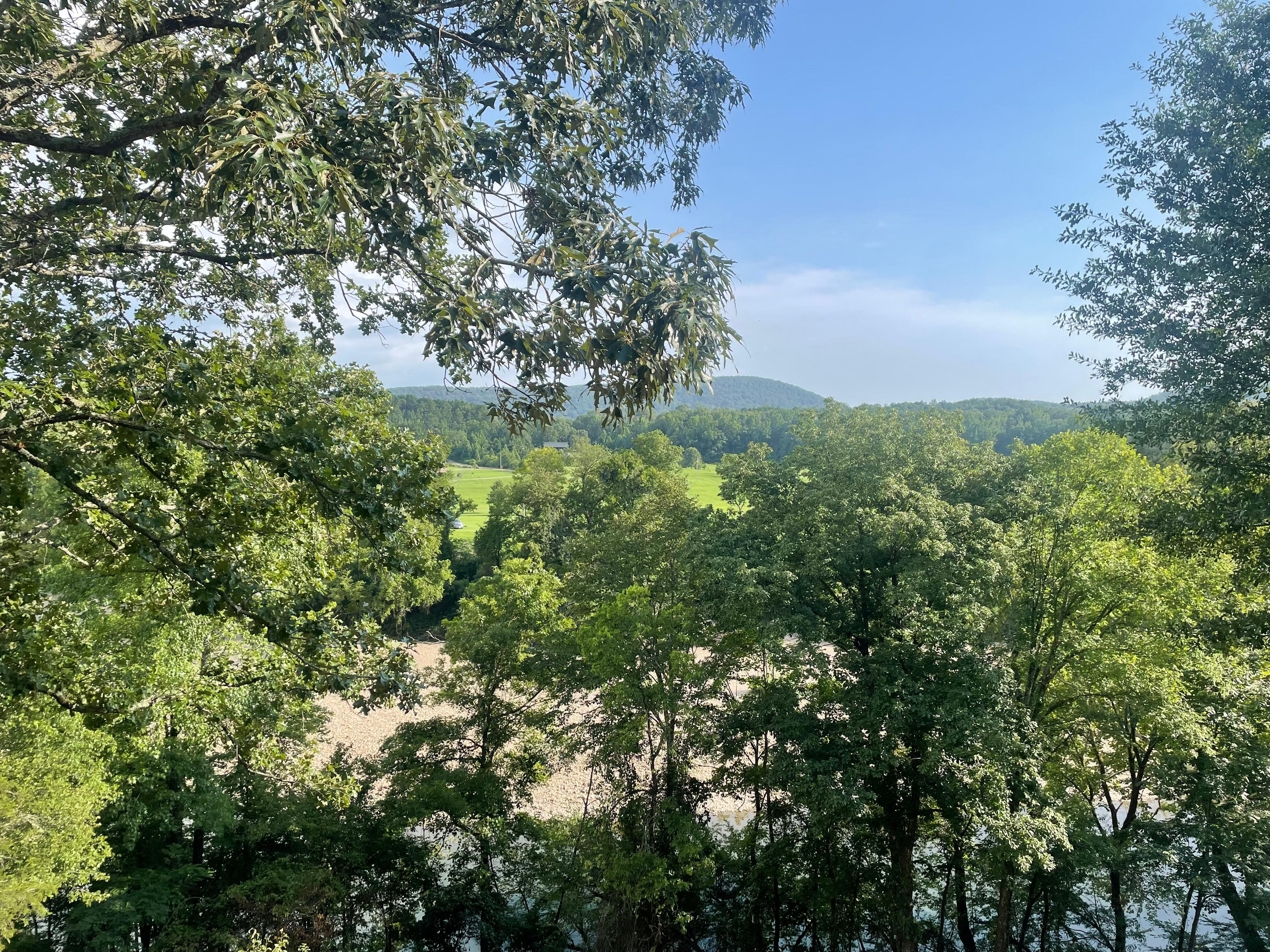 View from back deck.