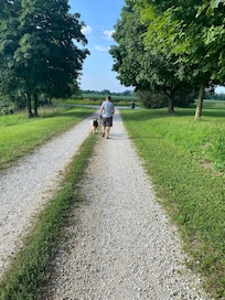 Morning walk.