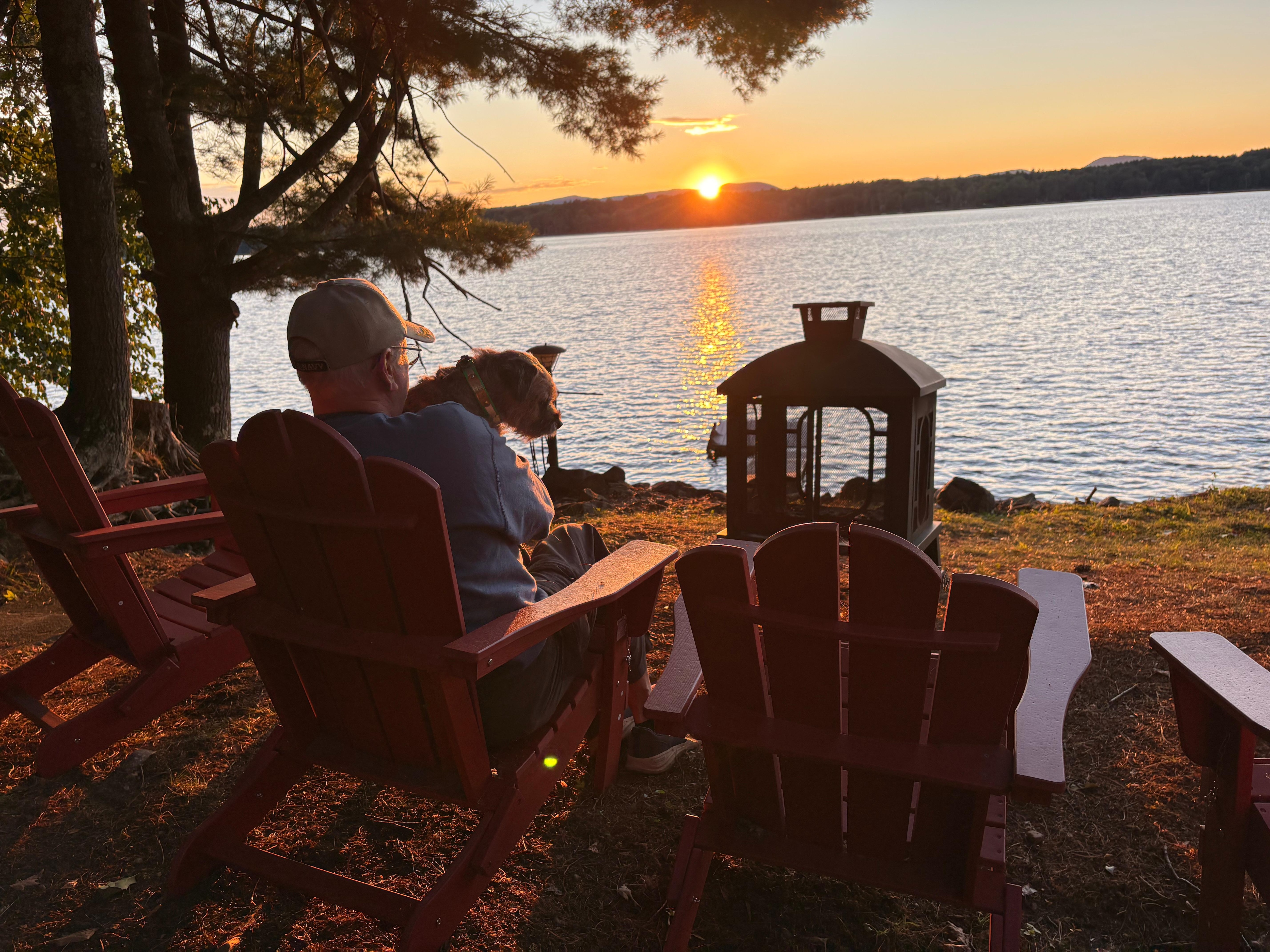 Man and dog enjoy peaceful setting 