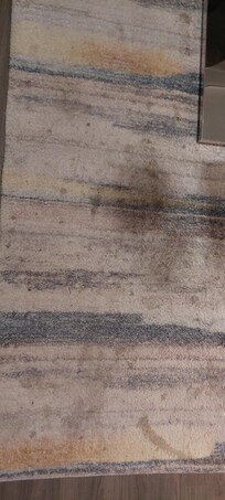 Carpet is filthy and must be replaced