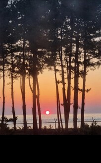 방에서 보는 일출