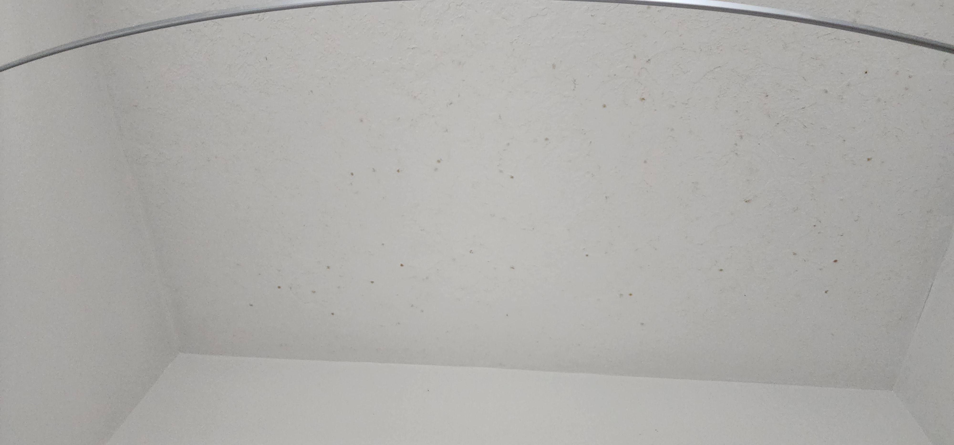 Dirty nasty bathroom ceiling 