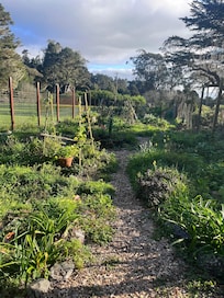 The Garden