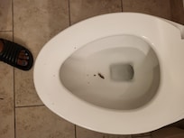 This toilet is in the first room that they assigned me I had the Russian try and use the bathroom and felt something sticking me in my leg and it was this debris
