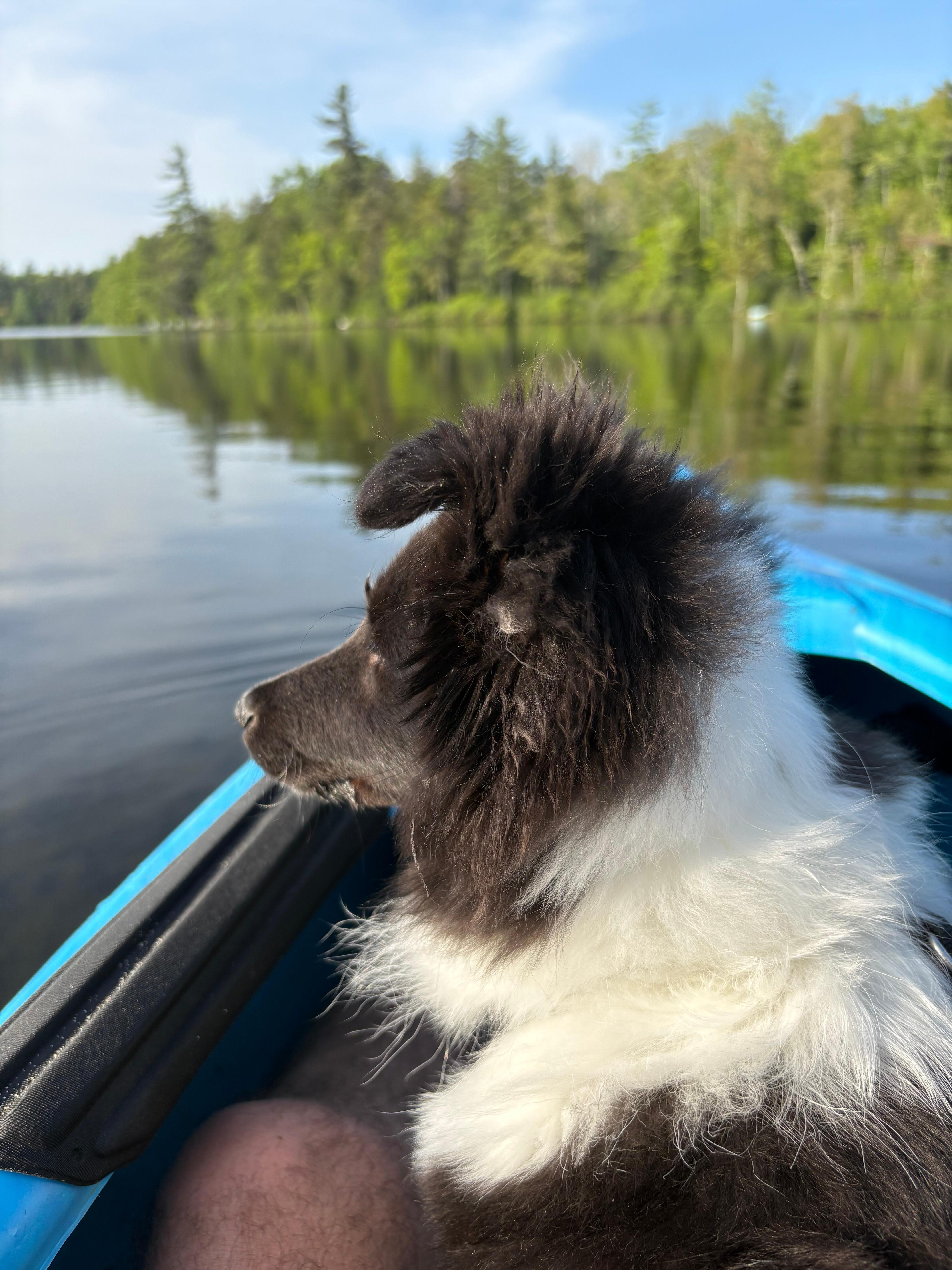 Quinn loves kayaking