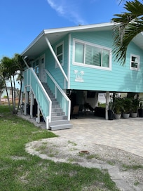 The house