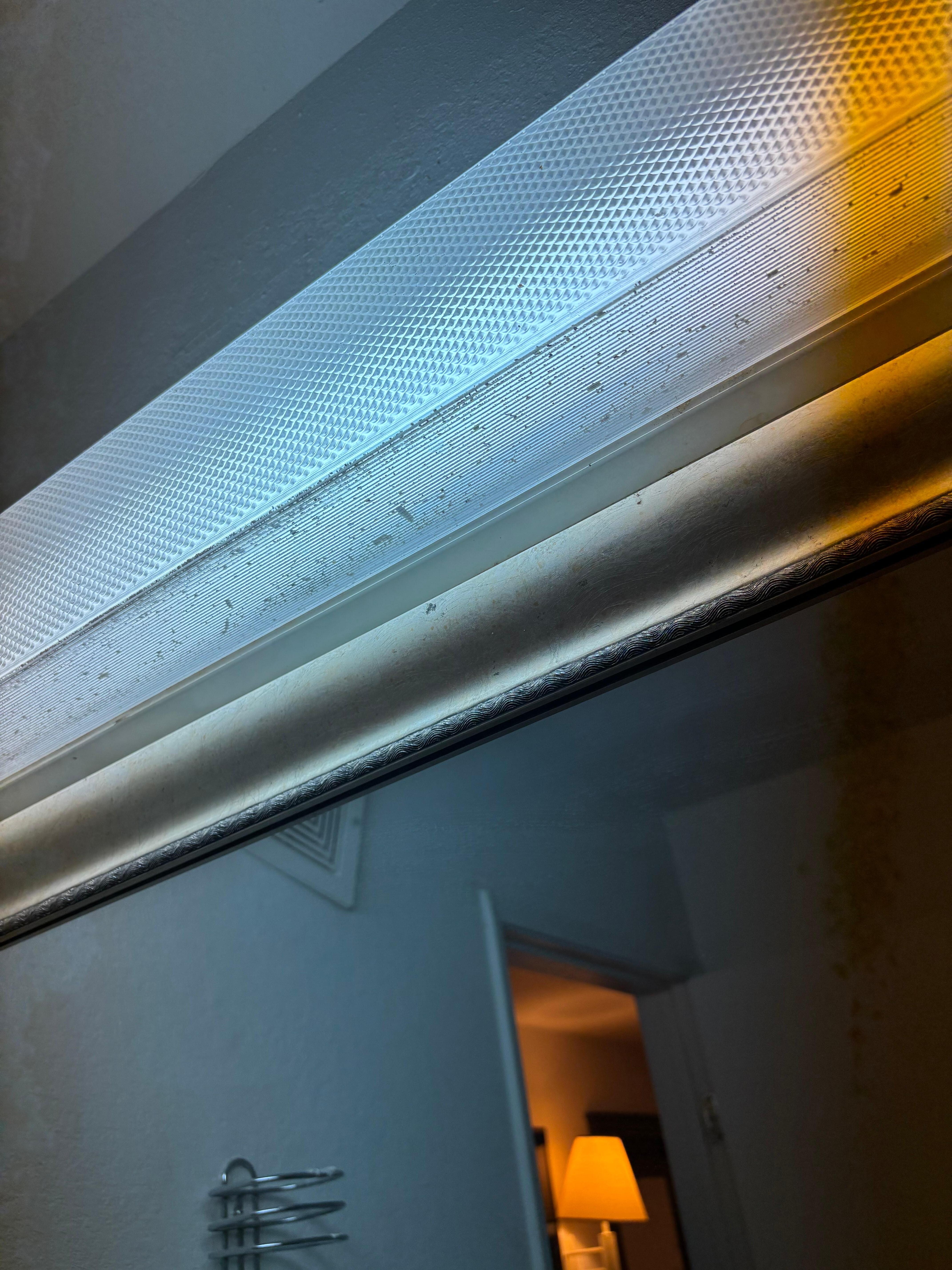 Bugs all in the light fixtures the bathroom sink still had the soap scum from the previous person that stayed there was not cleaned at all I cleaned room myself. Did not use the shower it was so disgusting