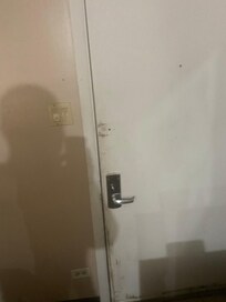 Mold on the door