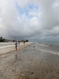 The beach