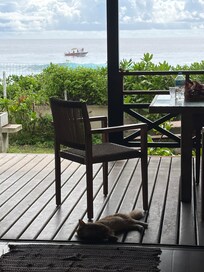 Ocean view with friendly guest