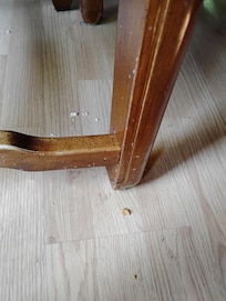 Dining room floor when we arrived