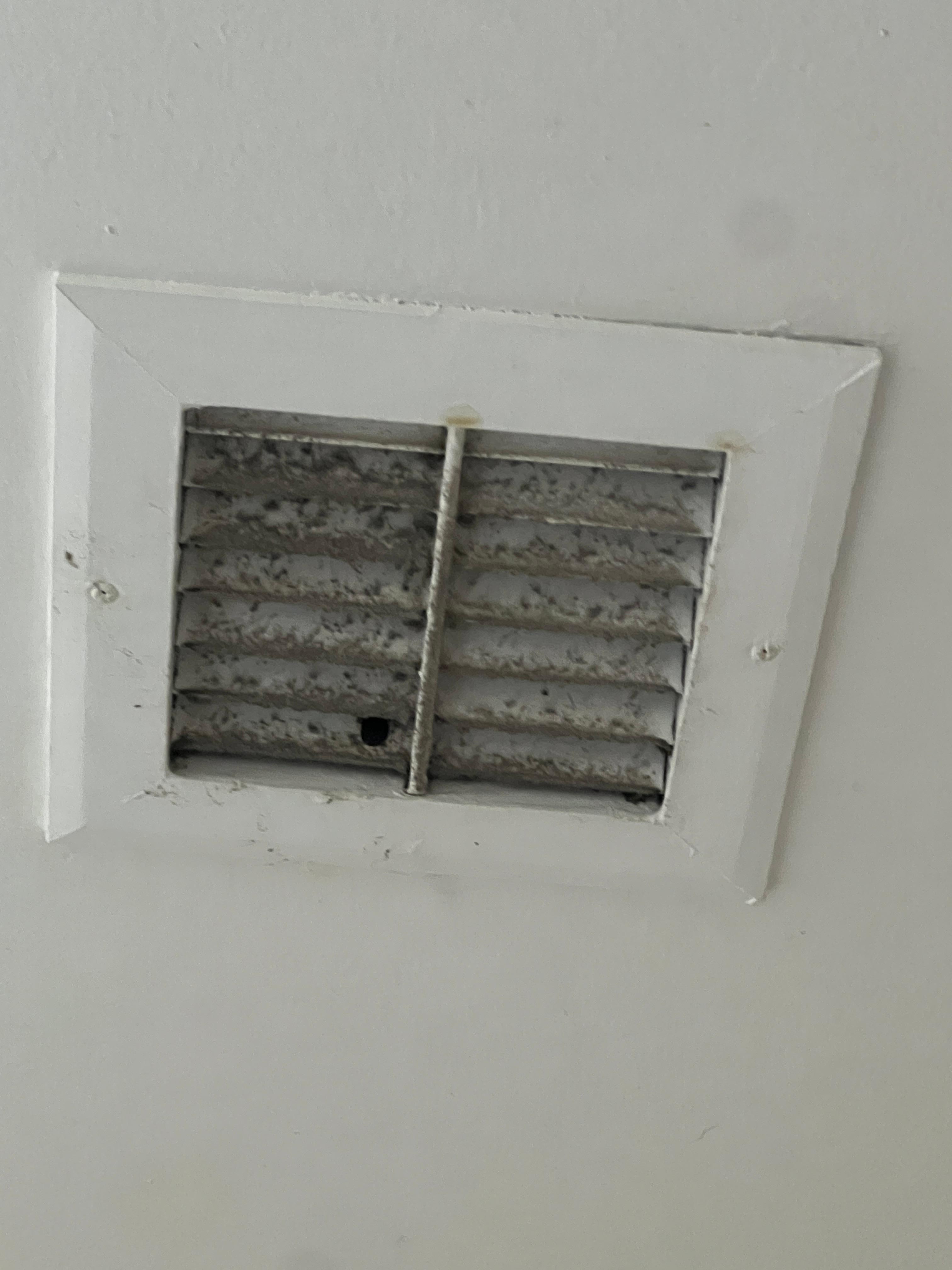 Filthy bathroom vent.