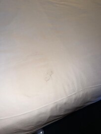 Just checked in, dirty stain on the bed sheets