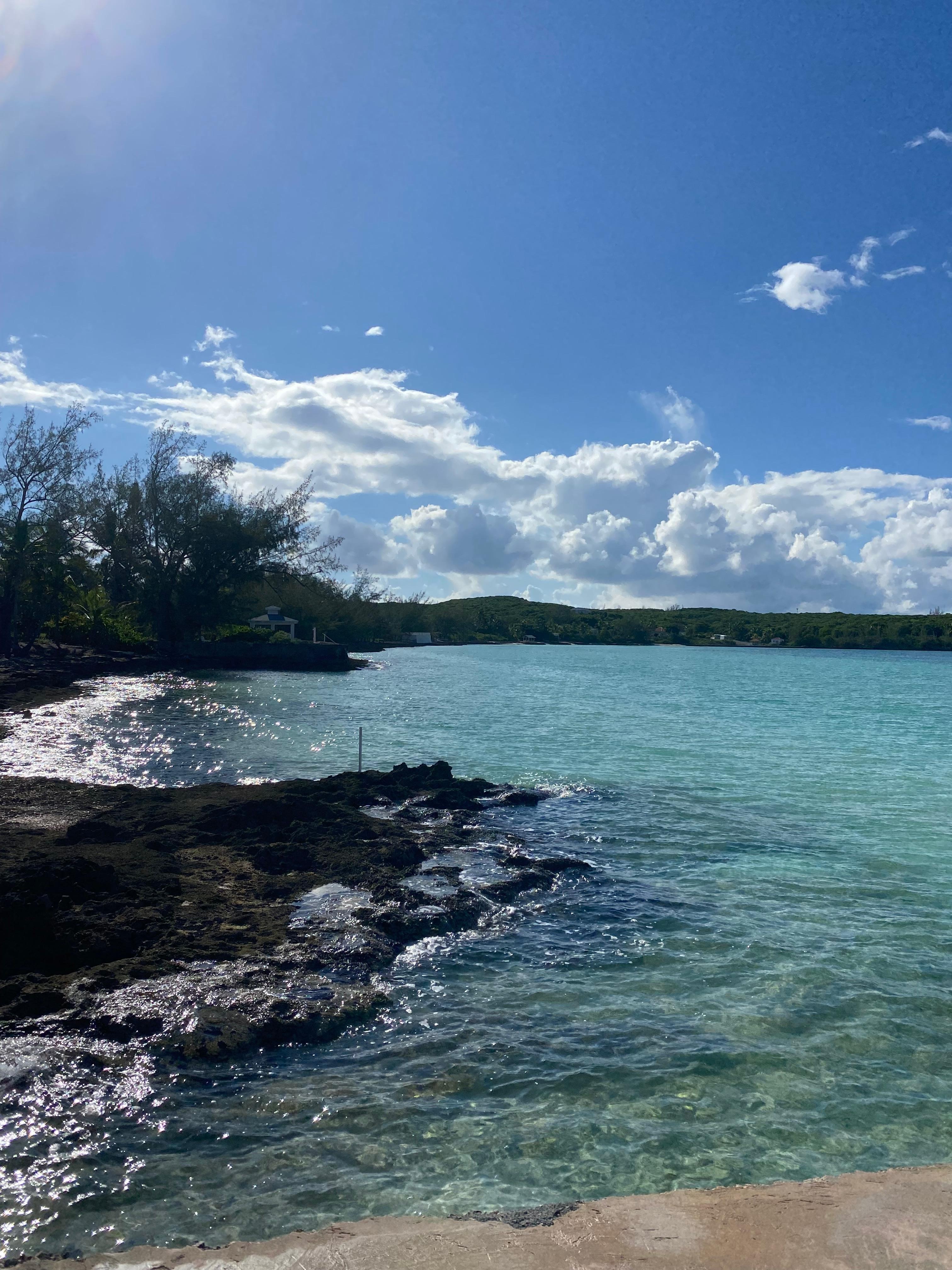 View from outside the back patio on the beach.