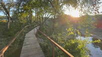 Walkway from the lake to the cottage