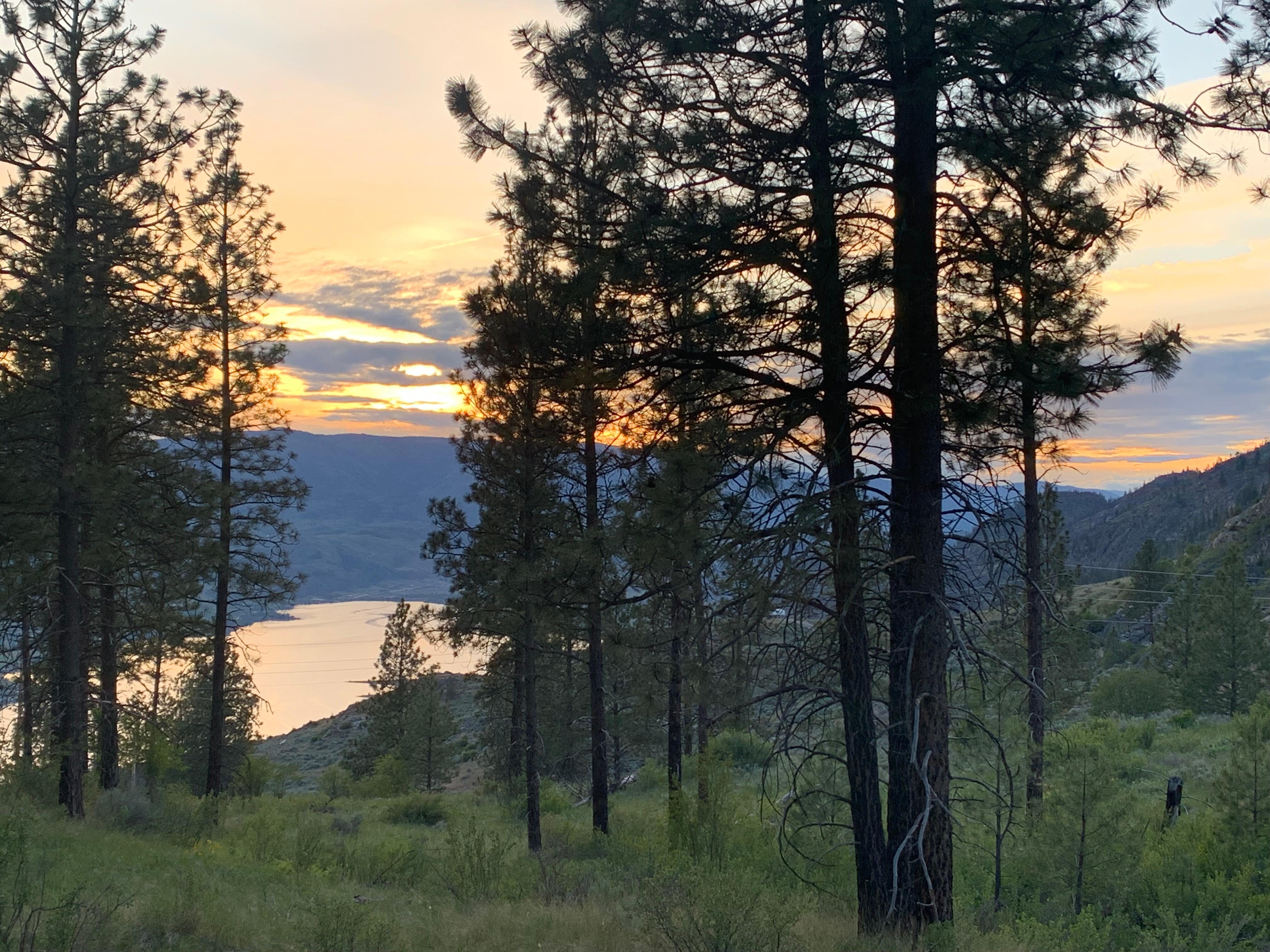 Evening walk