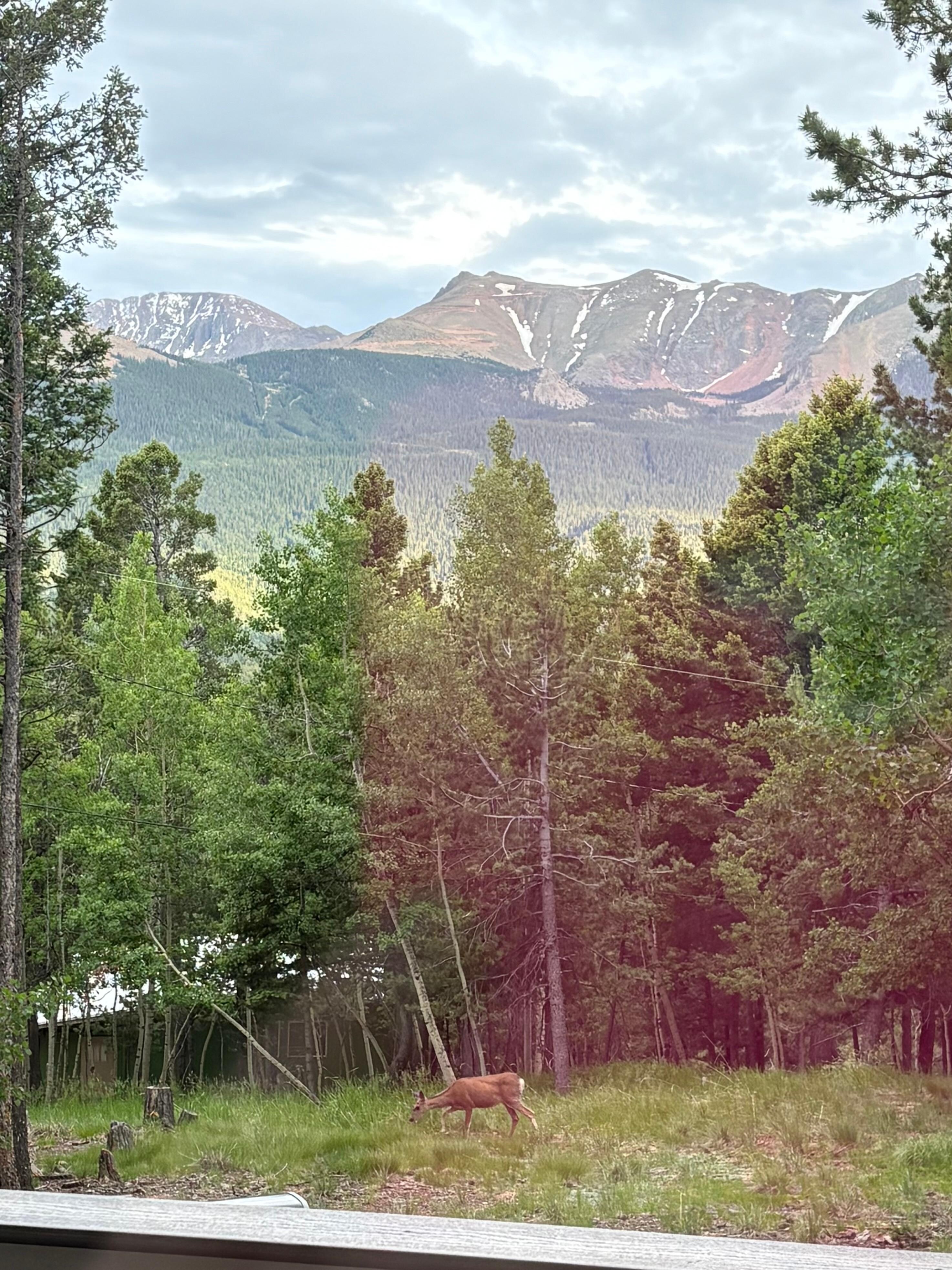 View from the living room