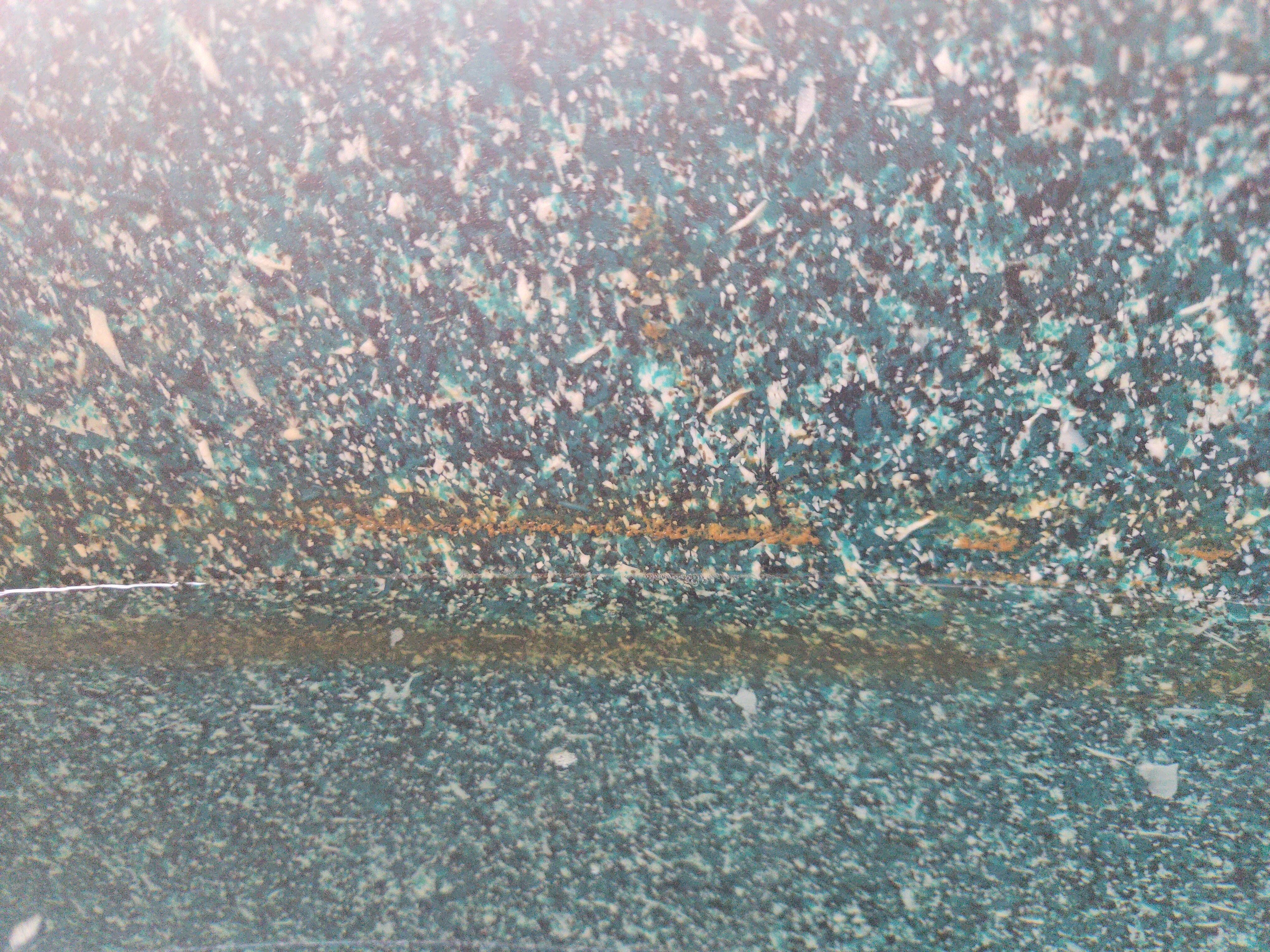 moldy hot tub