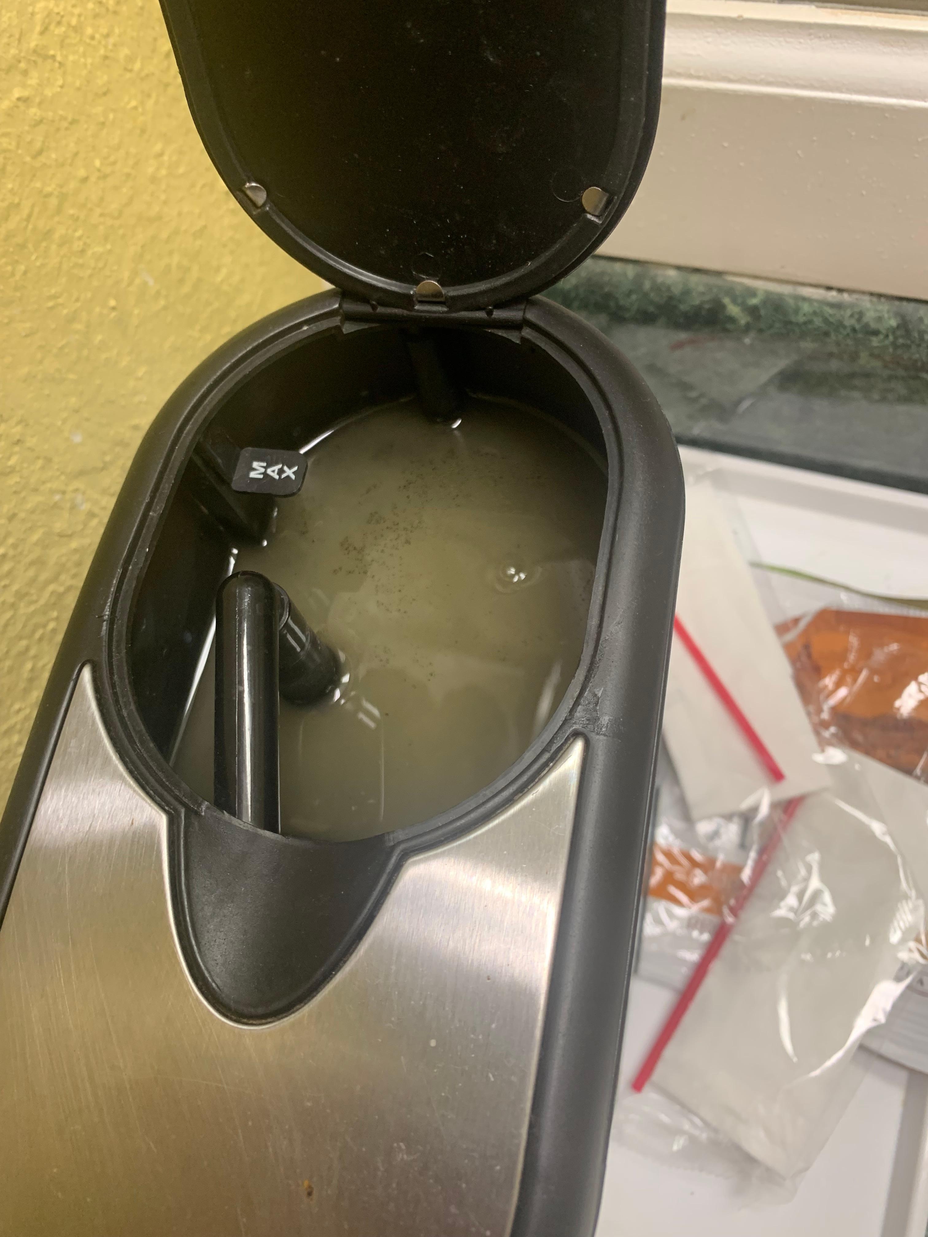 This was in the coffee pot in the room