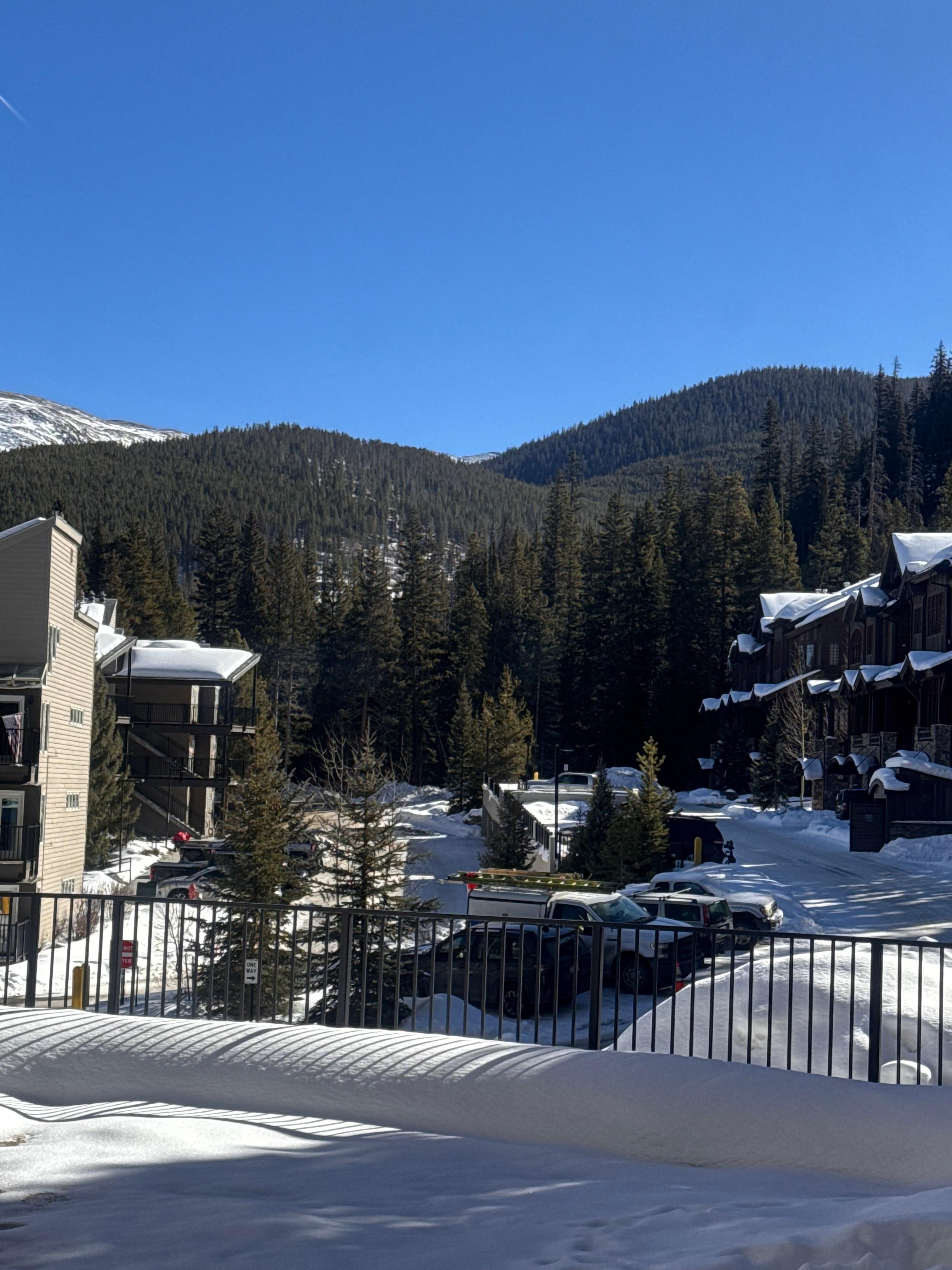 Beautiful view on the patio. 