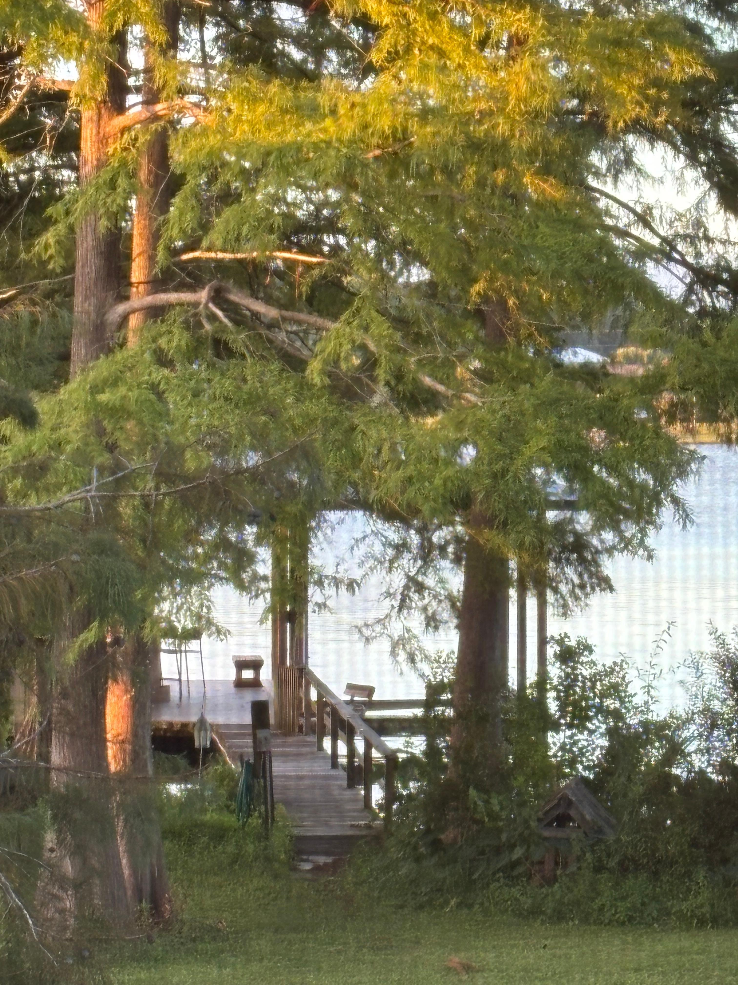 The walk to the lake. 