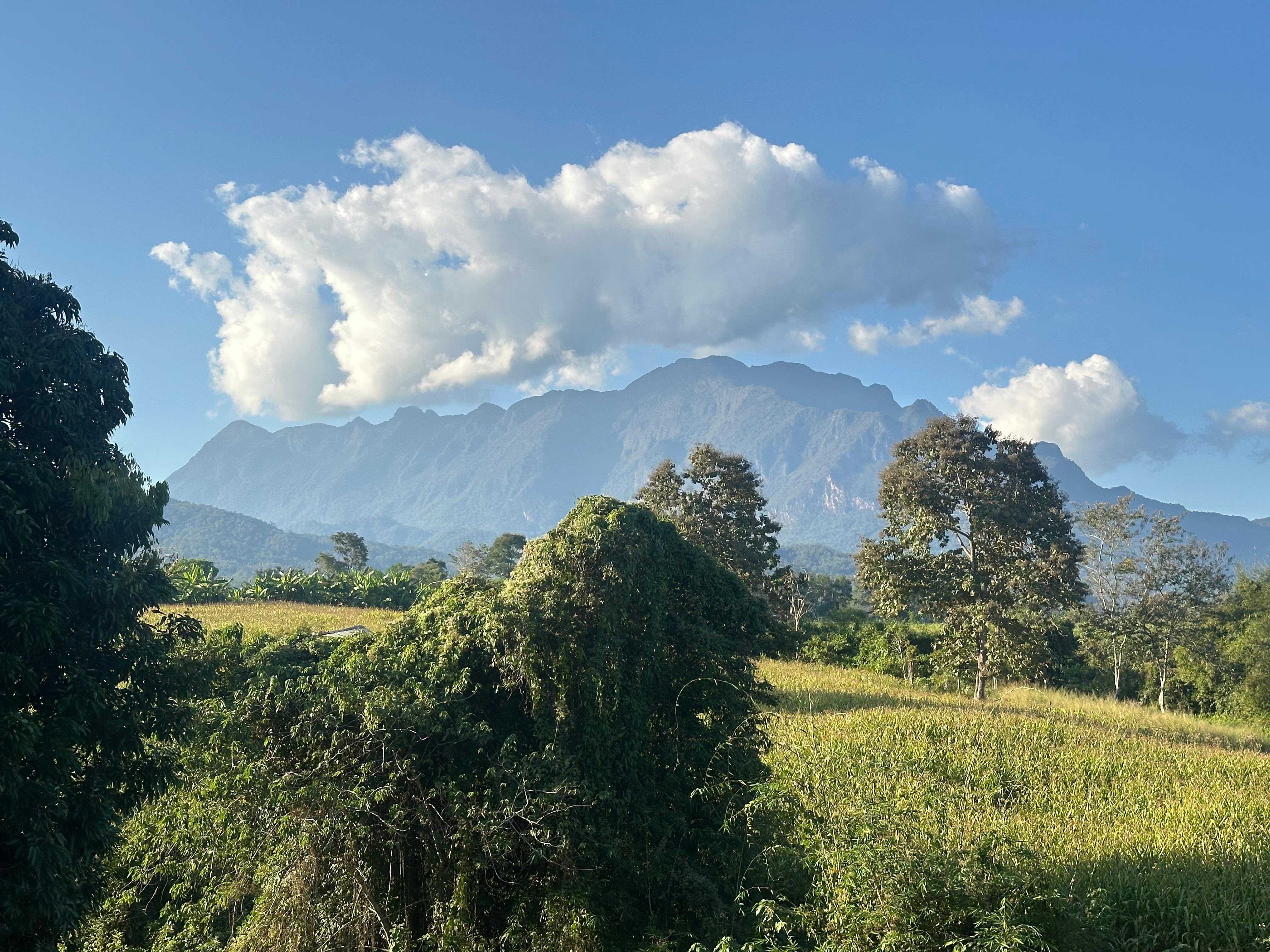 View from our balcony