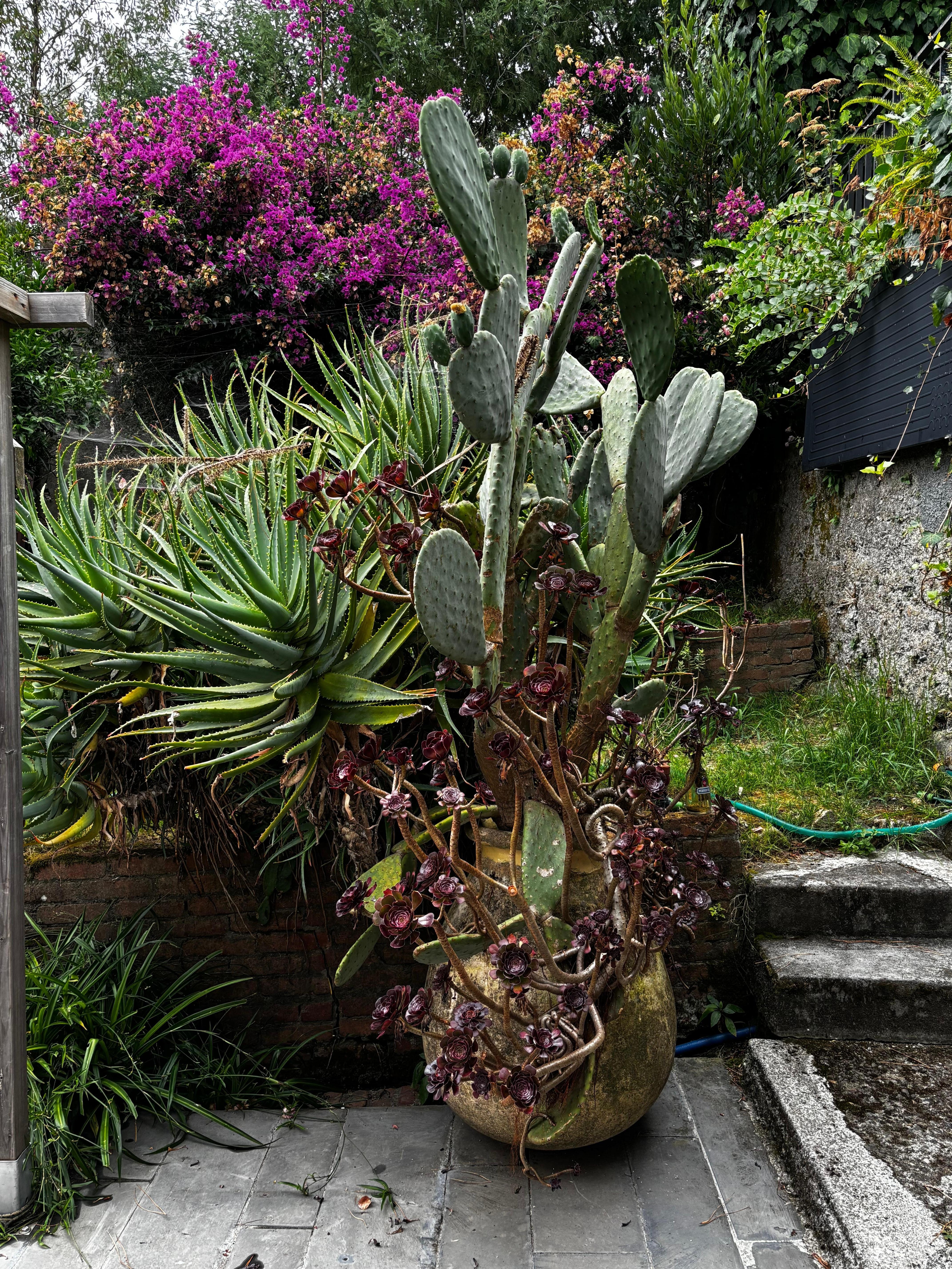 Blick auf die Begrünung des Gartens