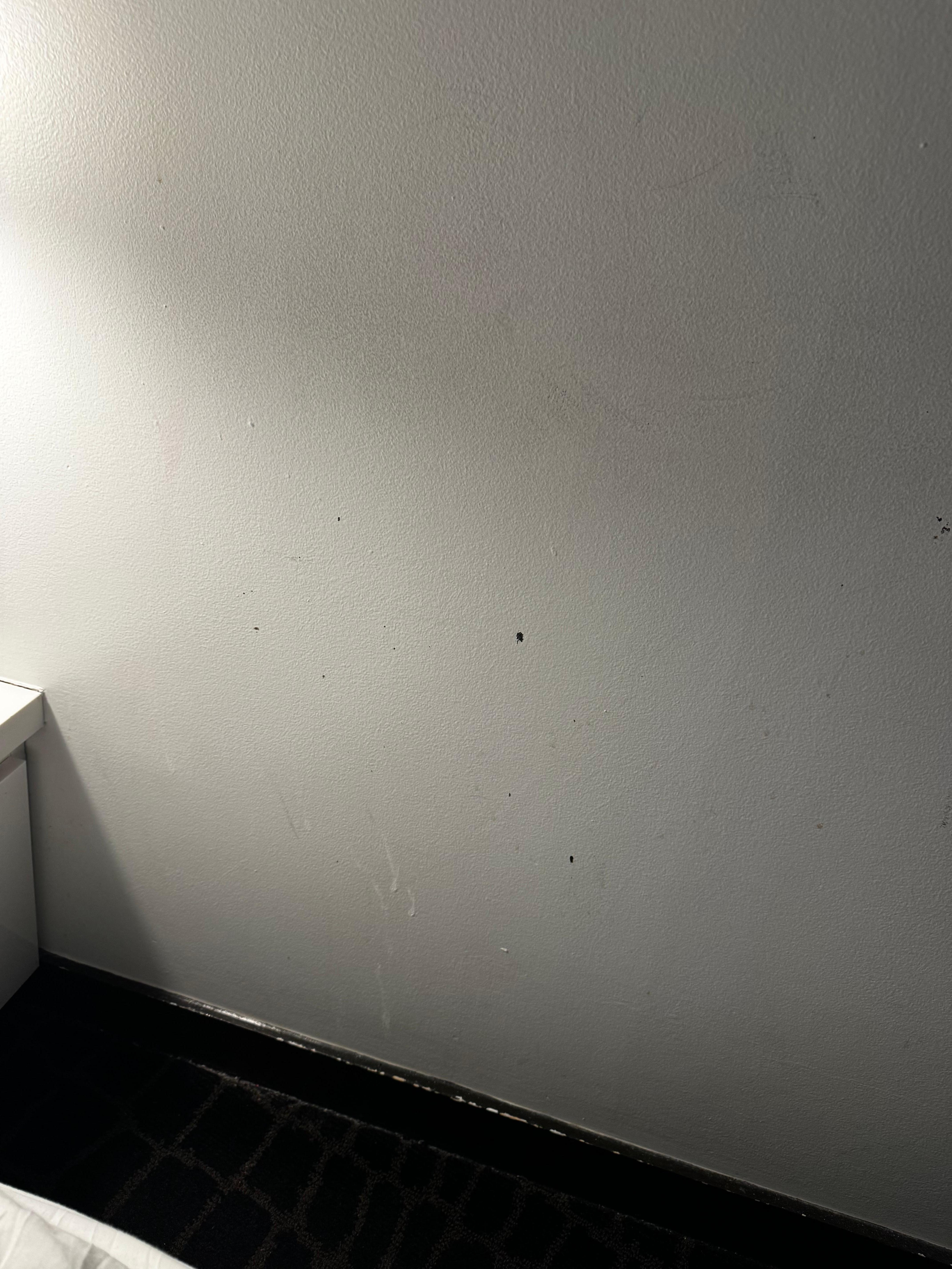 stains looked worse in person. who knows what those stains even are . i dont want to know 