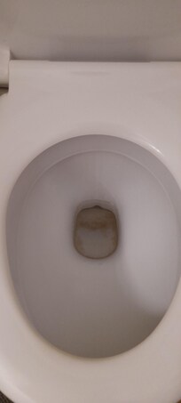 Pensé à detartré les toilettes serais un plus niveau hygiène