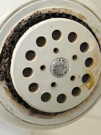 Showerhead in Master Bath