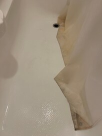 Cortina do box do chuveiro.