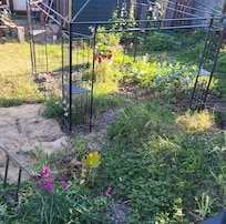 View from deck-Gardens