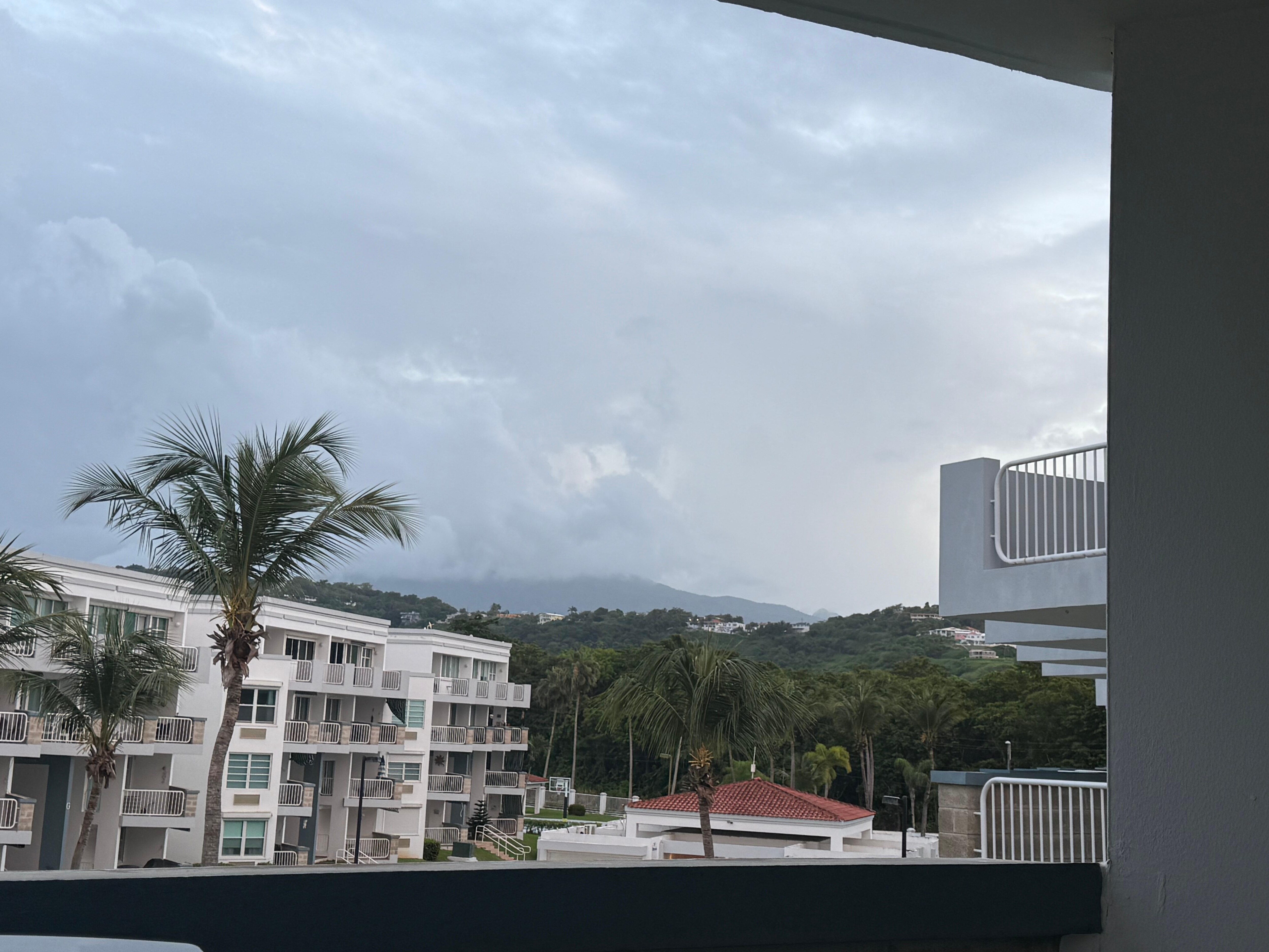View of rainforest from balcony