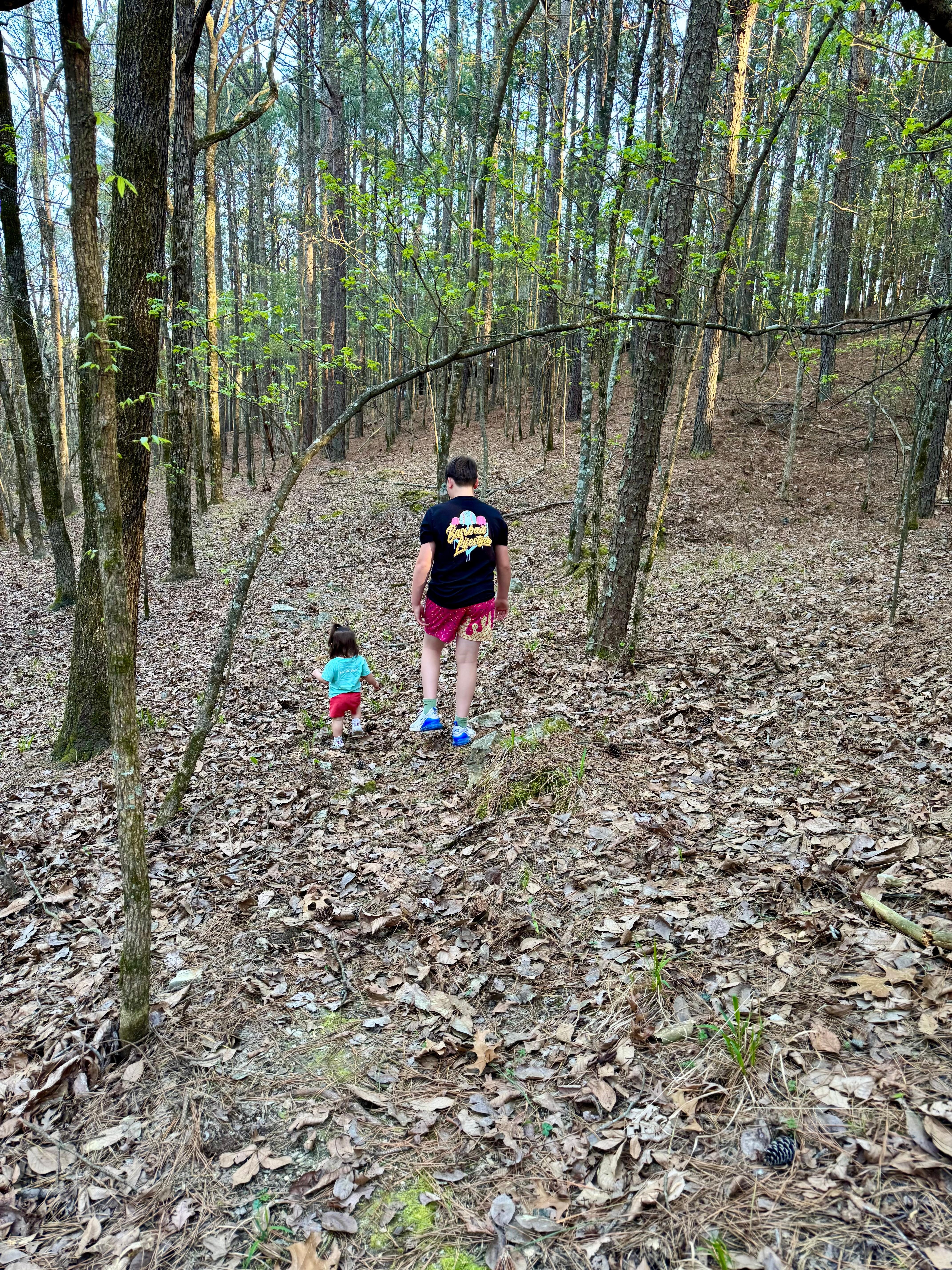 Exploring the woods around the cabin