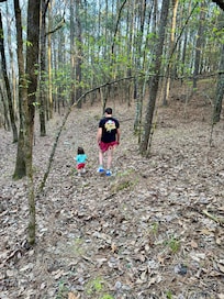 Exploring the woods around the cabin