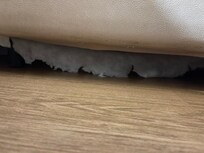 Cama em mau estado. Vários bichos alojados no colchão da cama.