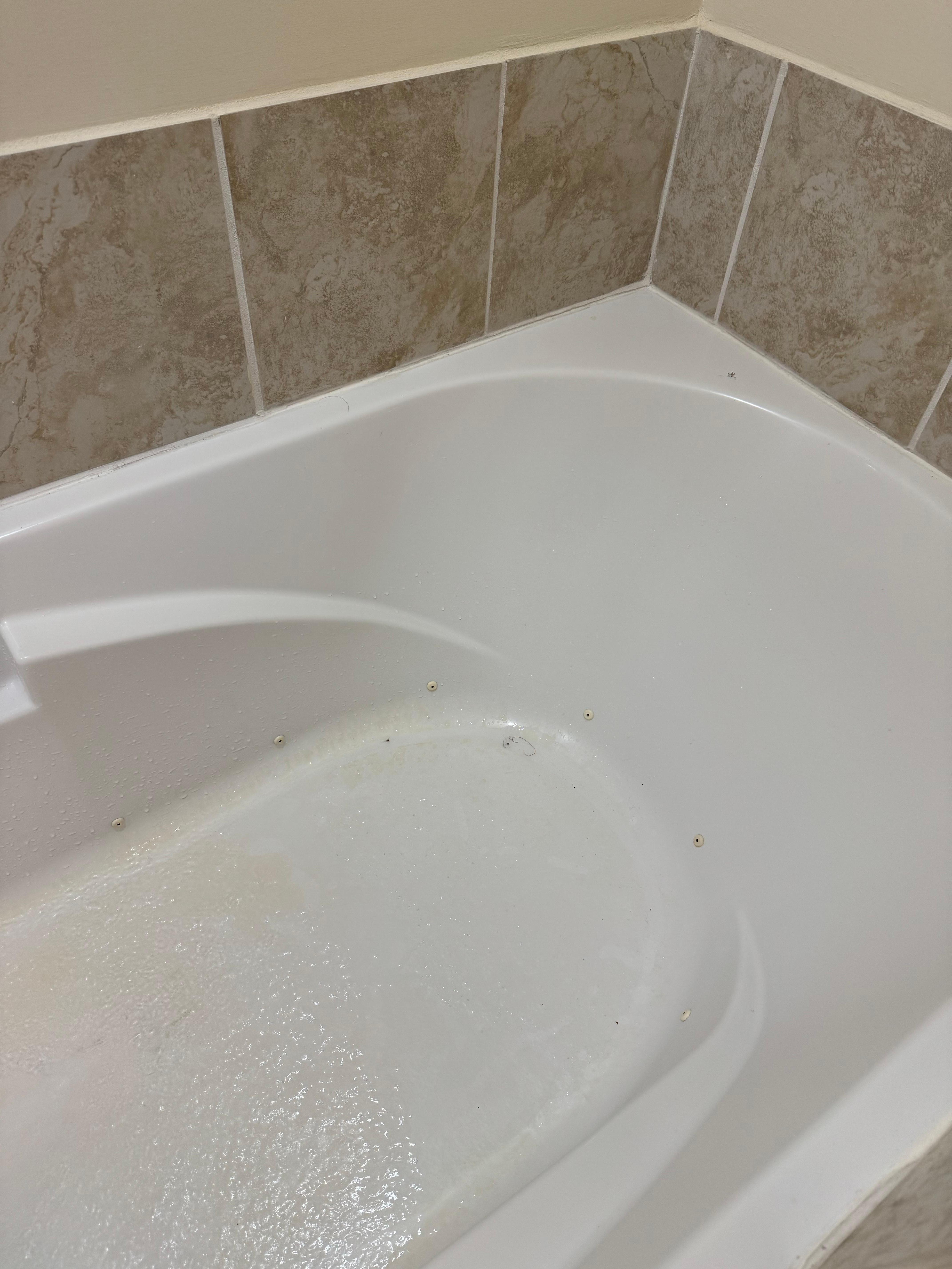 Spider and hair left in tub